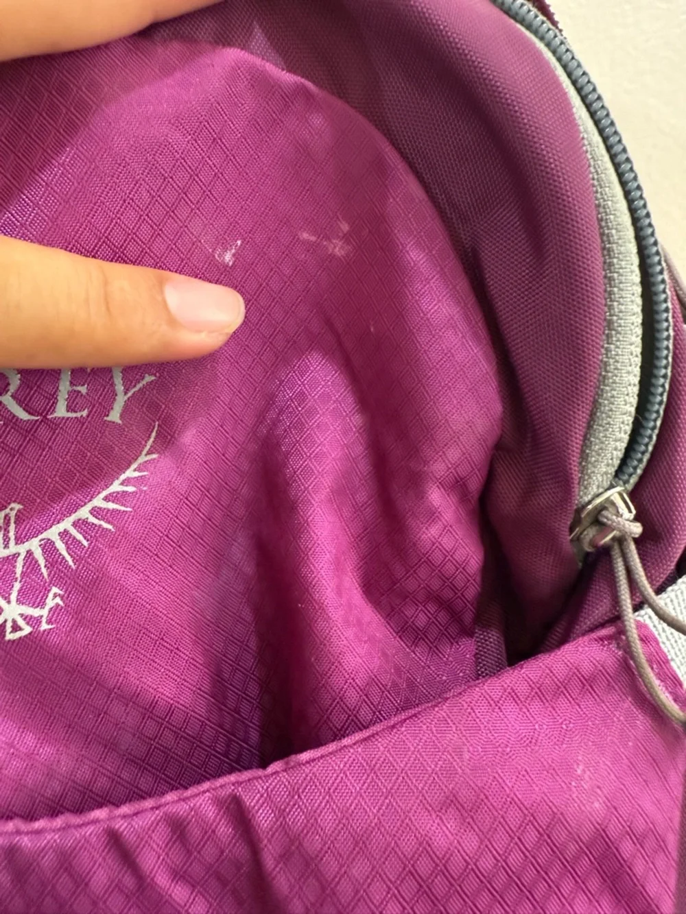 OSPREY Daylite Plus Backpack - Magenta and Light Gray Accents